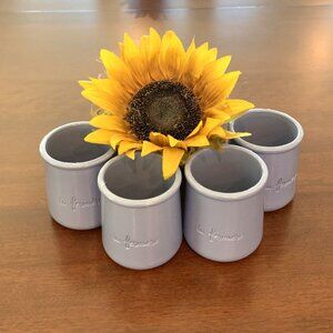 La Fermiere Blue Ceramic Terra Cotta Pots for Baking, Plants, Decorating